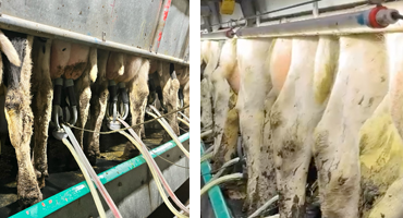 Antes y después en Casma